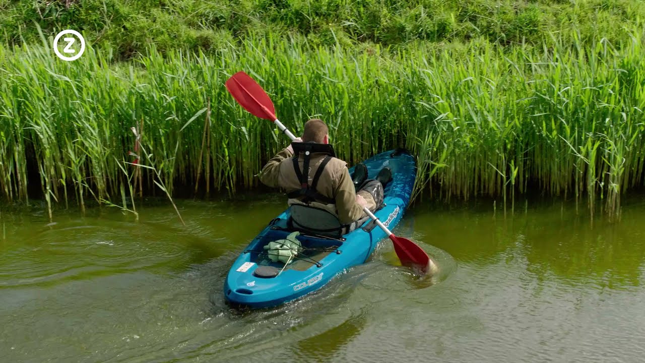 Muskusrattenbestrijding