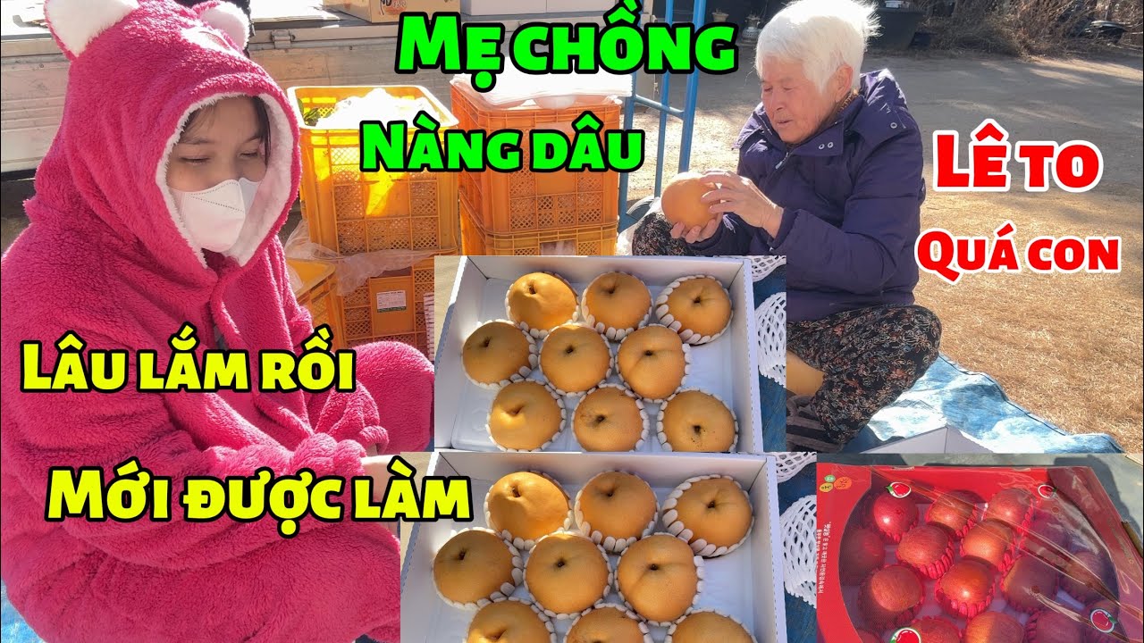 [190] hôm nay mẹ chồng nàng dâu cùng nhau làm việc 