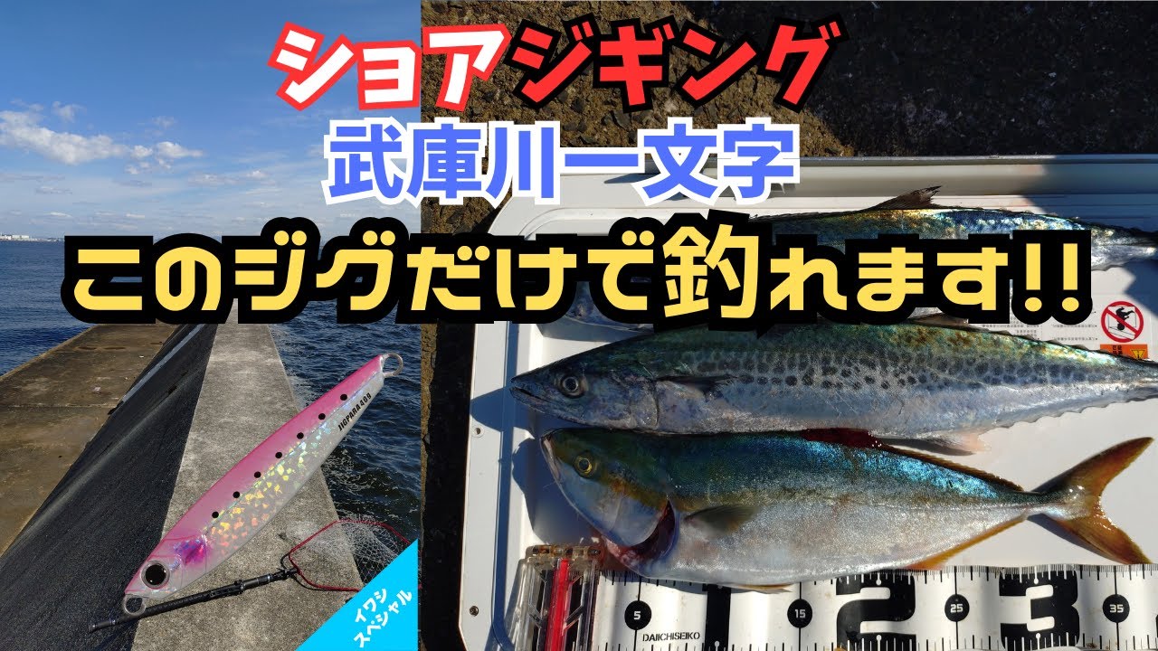 ショアジギング　また武庫川一文字へ行ってきました！　　#ライトショアジギング　#青物　＃武庫川一文字