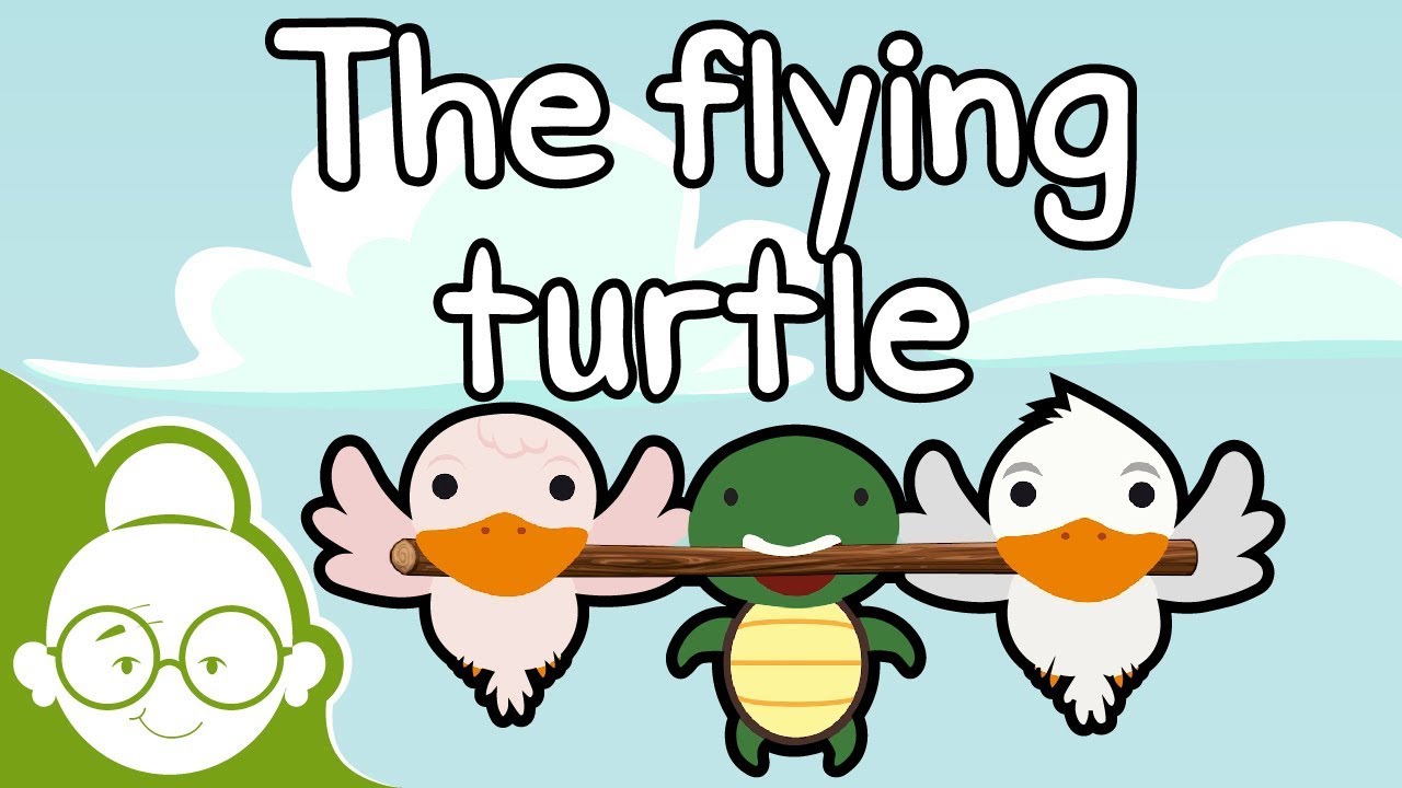 The flying turtle