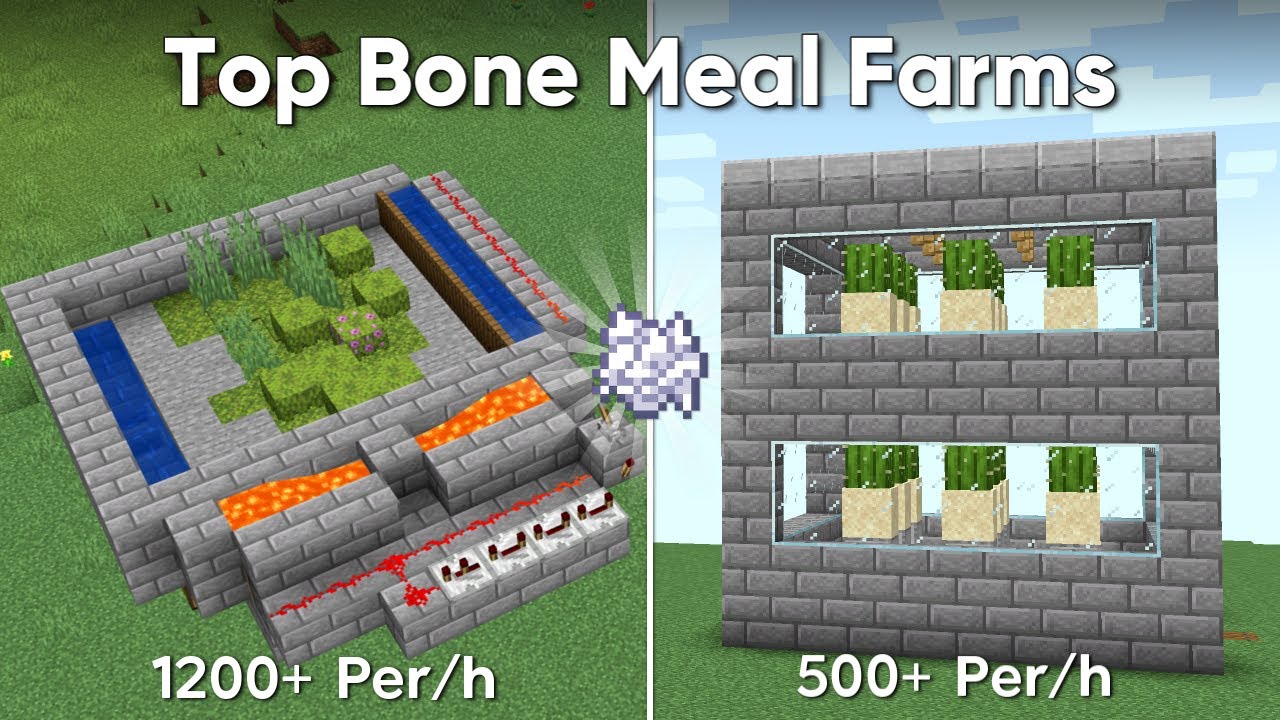What Are The Best Bone Meal Farms In Minecraft 1.21+ | Tutorial