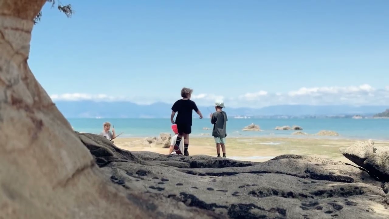 Go Wild Holiday Programme, Abel Tasman National Park