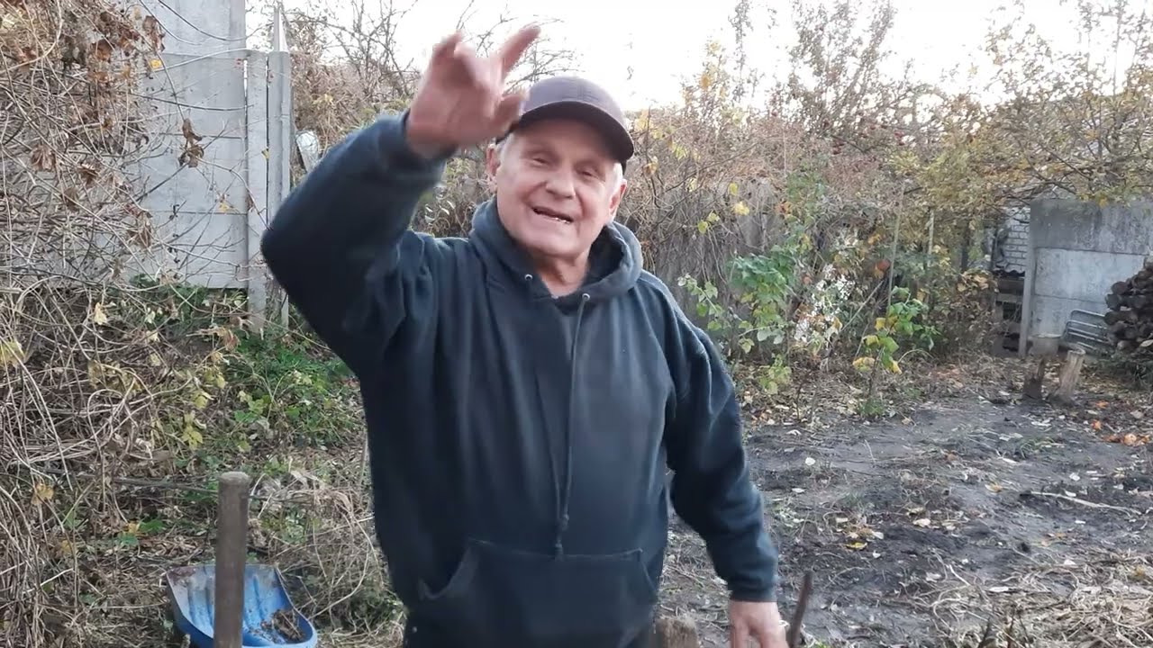 Как укрыть виноград на зиму, учитывая особенности виноградного куста