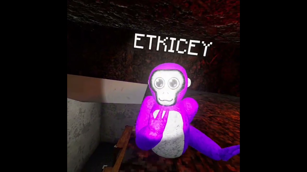 LOCKDOWN VR