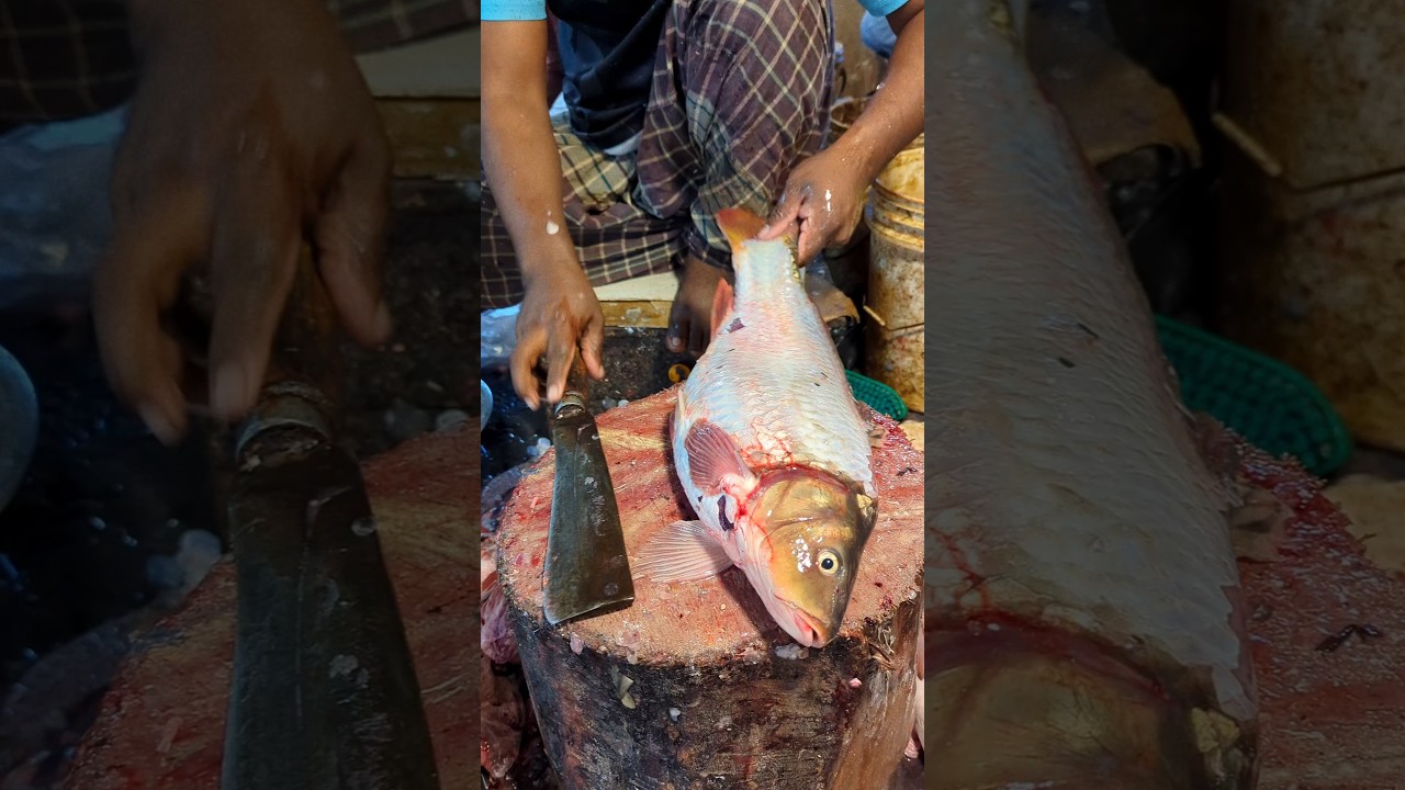 Amazing Huge Golden Carp Cutting Skills Live In bangladesh Fish Market With Huge Egg