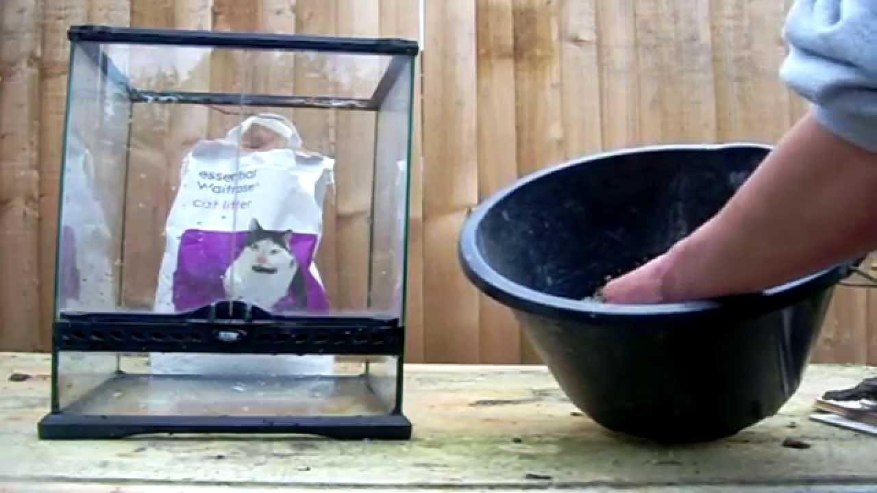 Building A Vivarium Part 1; DIY Clay Background