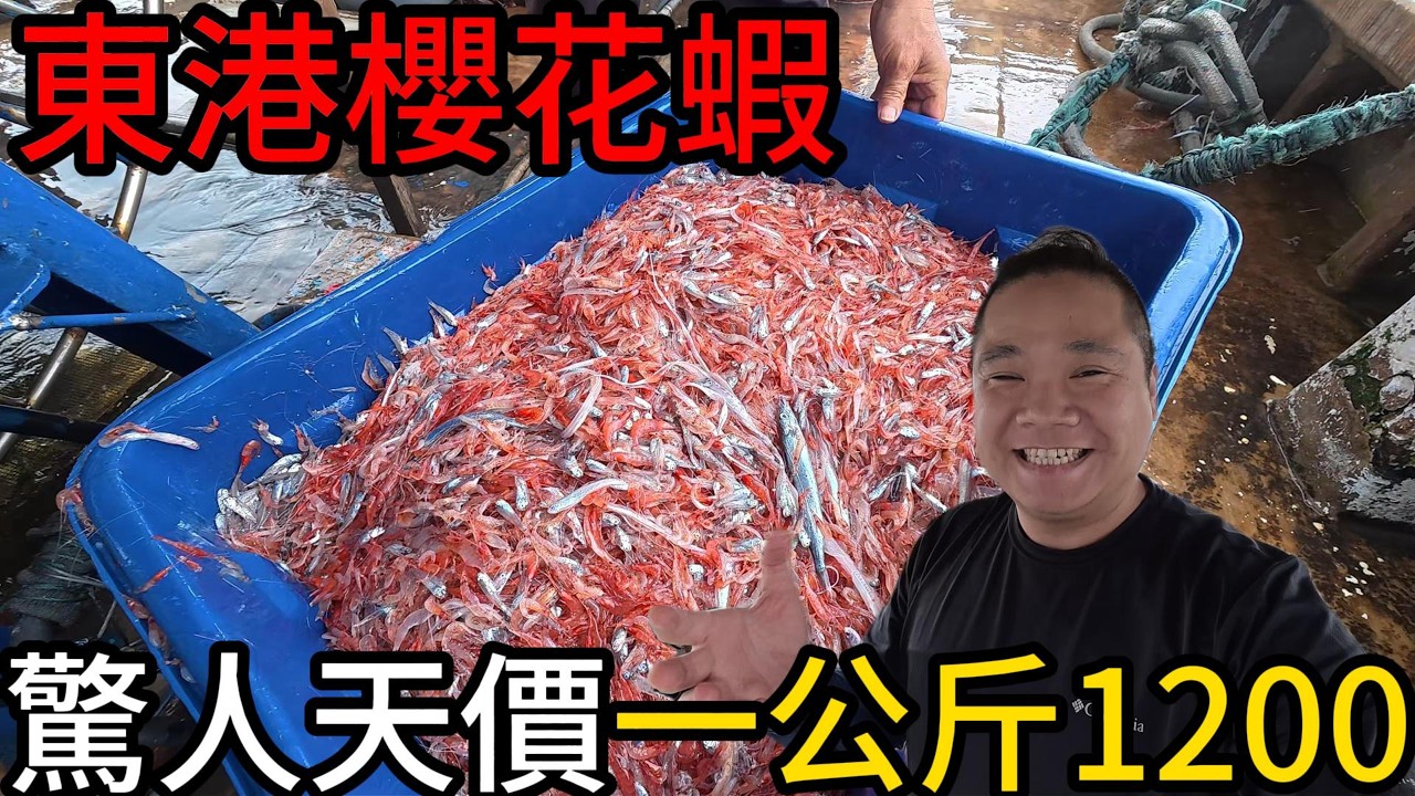 好扯!!一公斤竟然1200元丨被騙了嗎?這些都不是東港櫻花蝦丨禁止進入的神秘櫻花蝦拍賣現場丨直擊拖網抓櫻花蝦太壯觀了