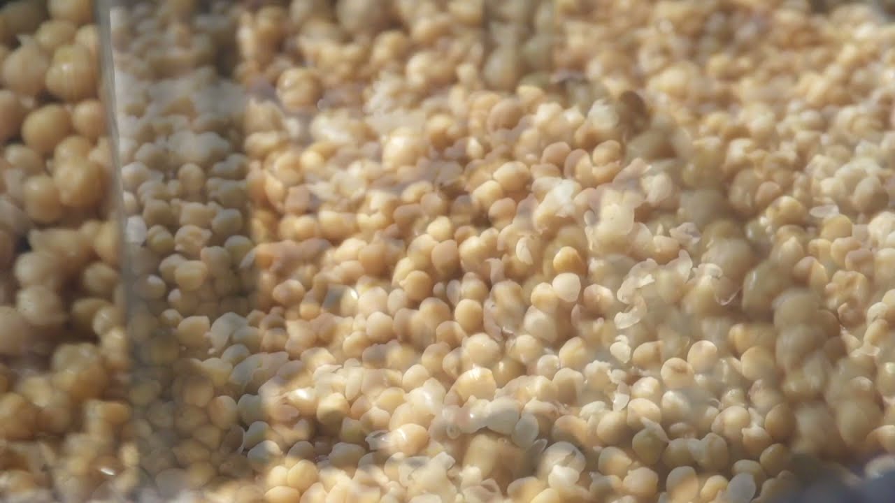 Come cucinare i ceci con Cucimix | Cuocitore professionale Firex