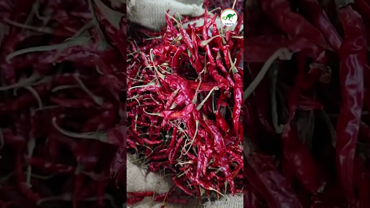 #వరంగల్ మార్కెట్ తేజ ధర (03-09-2026) || #warangal Market Teja Mirchi Price