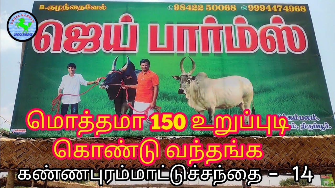 மொத்தமா 150உறுப்புடிகொண்டாந்தங்//கண்ணபுரம்மாட்டுச்சந்தை#cow #கண்ணபுரம் #bull #tiruppur#