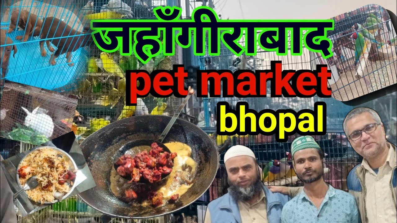 Finding Joy in Bhopal Jahangirabad Pet Market l Animals,सलीम भाई Biryani and More