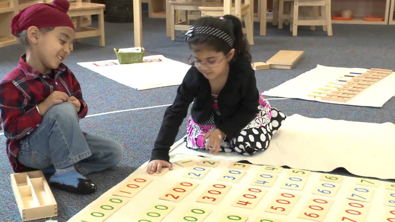 Little Blossom Montessori School Promo