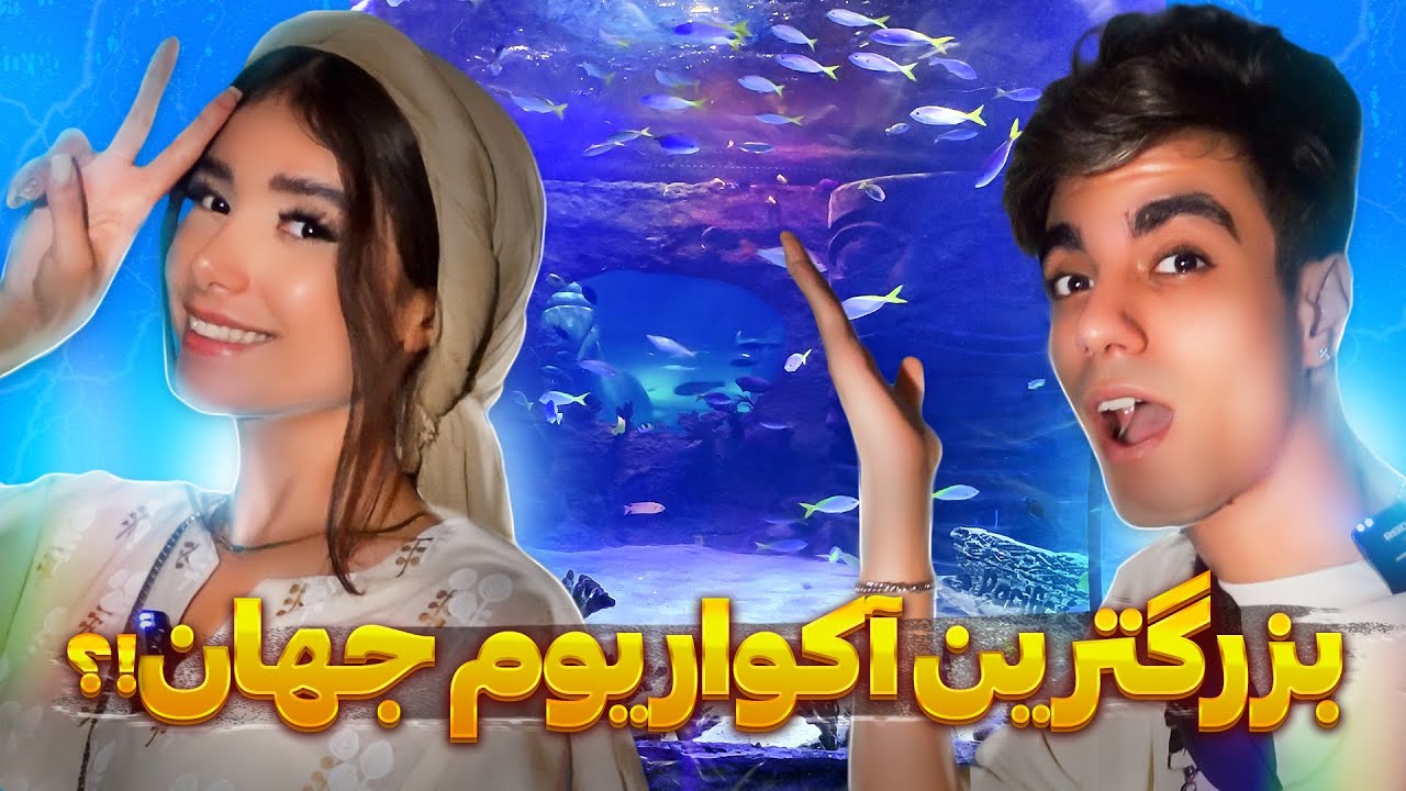 سفر کردیم تو عمق دریای دبی‼️😳🐳