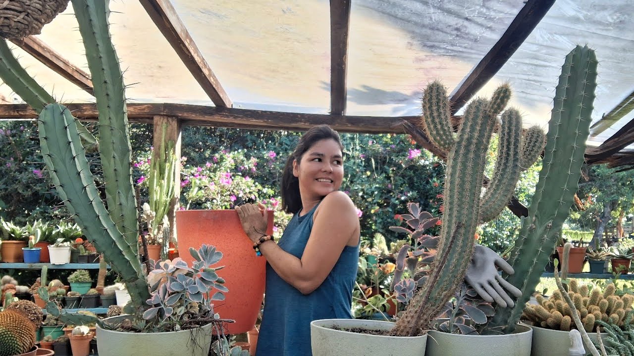 TRANSPLANTANDO CACTUS GIGANTES 😱