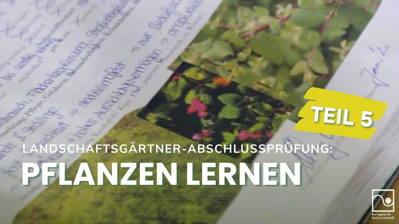 Landschaftsgärtner-Abschlussprüfungen Teil 5: Pflanzen lernen | GaLaBau Bayern
