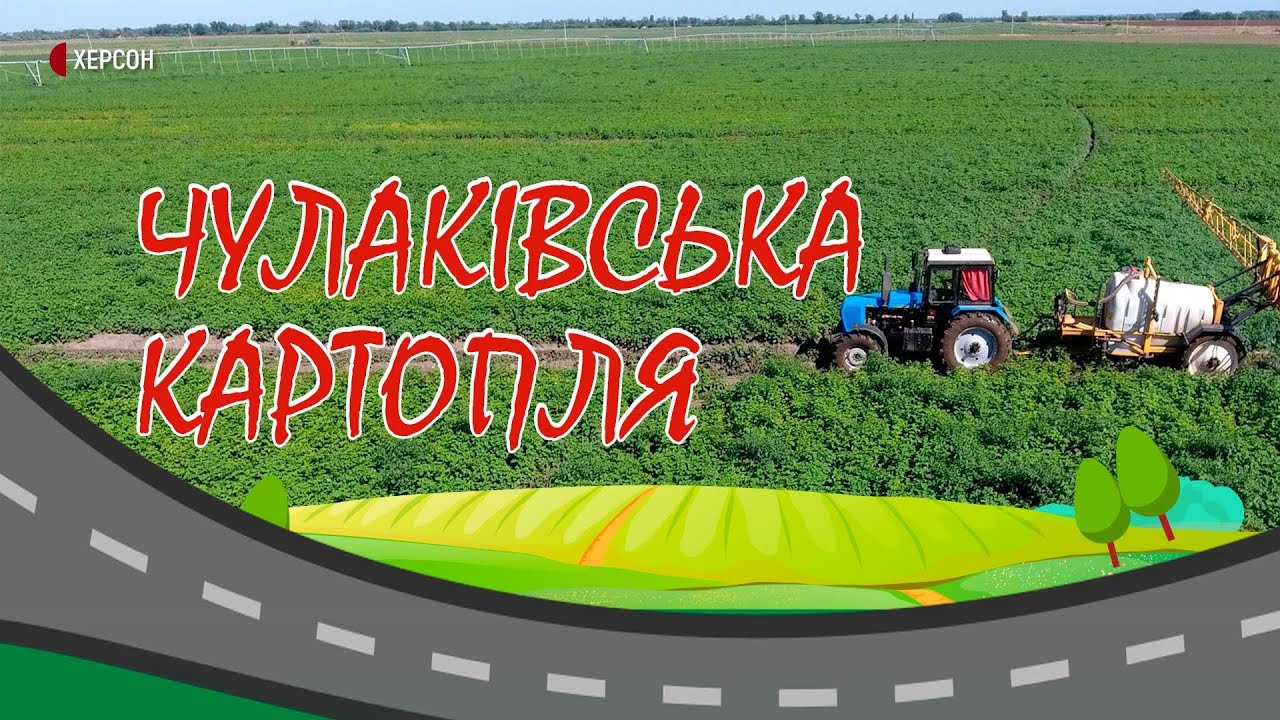 Чулаківська картопля | Маршрутом змін