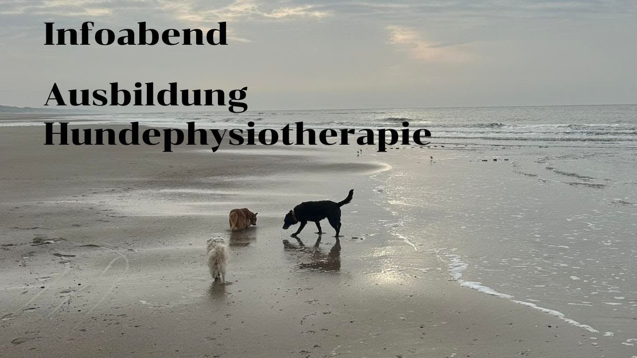 Informationen zur Ausbildung Hundephysiotherapie
