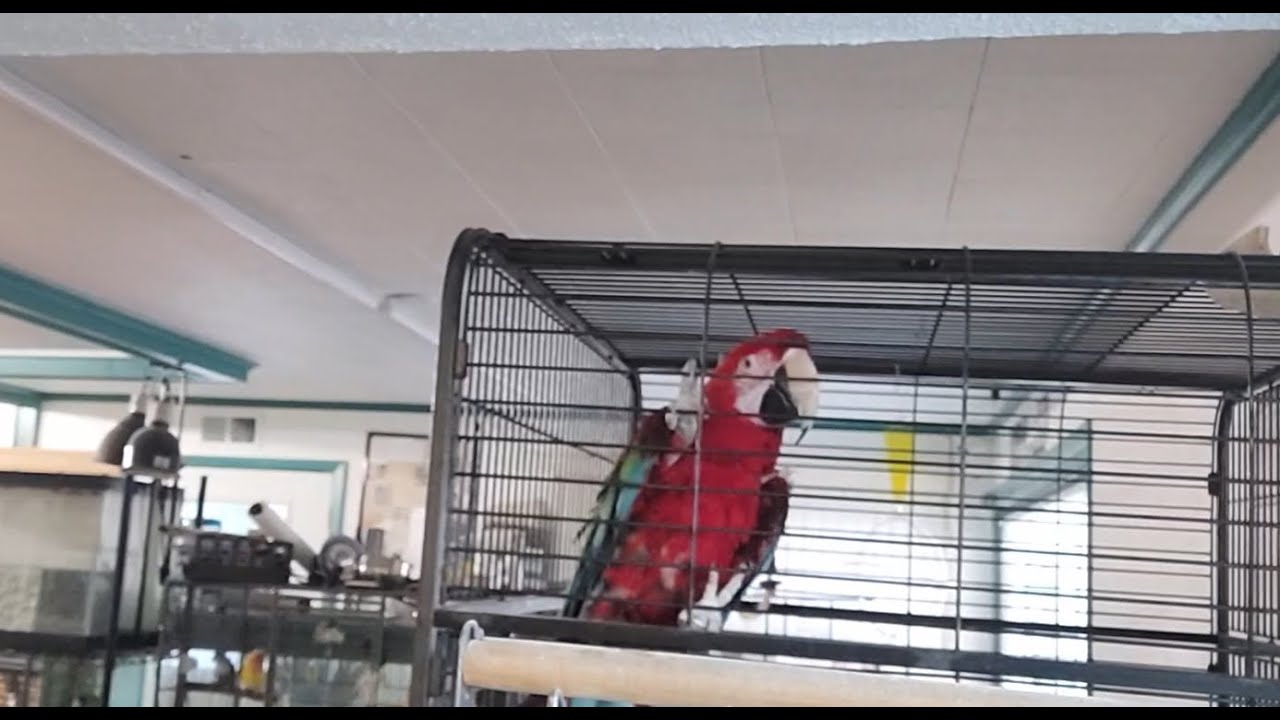 Pickles Tells Us His Name!!