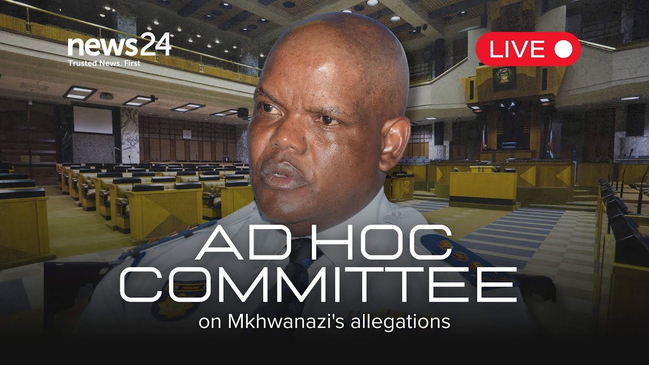WATCH LIVE | Ad Hoc Committee hears evidence from Lieutenant-General Khomotso Phahlane
