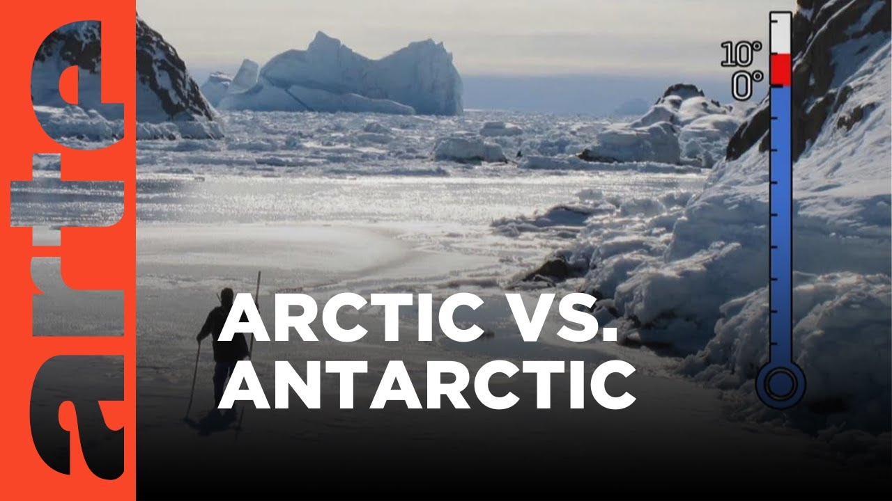 The Polar World | ARTE.tv Documentary