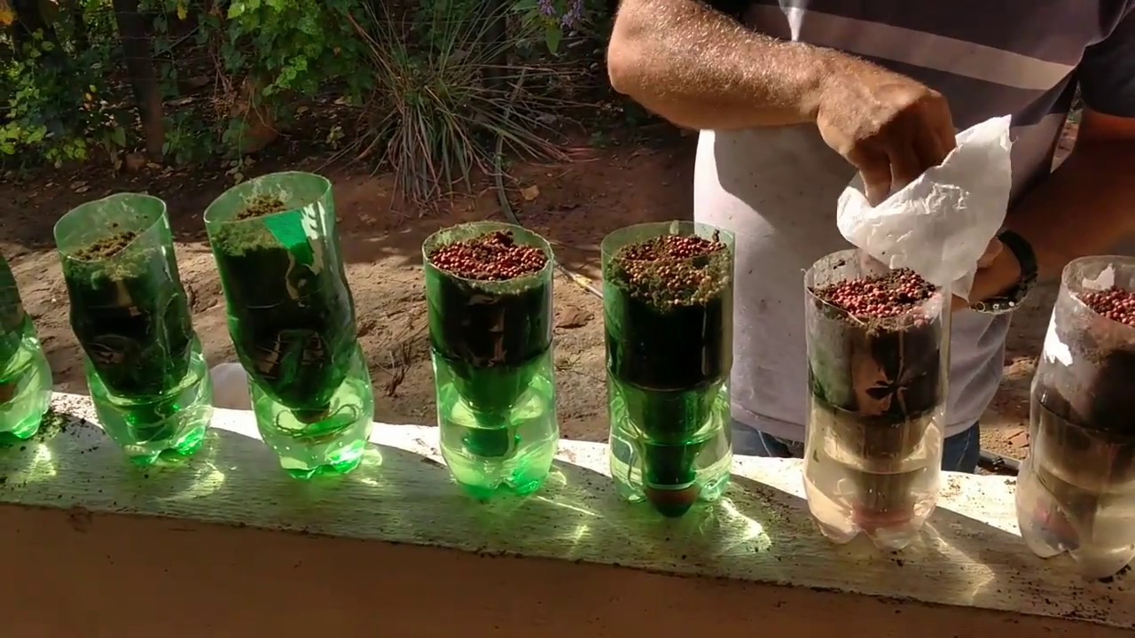 COMO FAZER UMA HORTA COM GARRAFAS PET