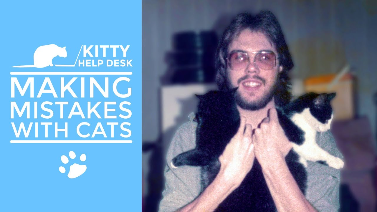 Making Mistakes with Cats