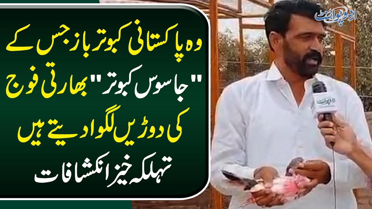 Reality Behind ISI Spy Pigeon Captured By India | Owner Wants His Innocent Kabootar Back