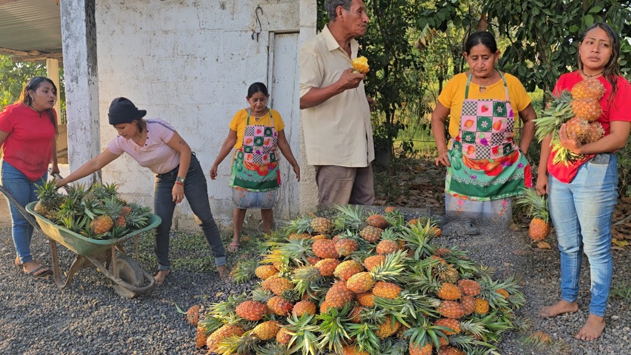 Dios mio mira todo estas piña nos regalaron iremos adejar un poco de piña achentia y trucha🤯😱