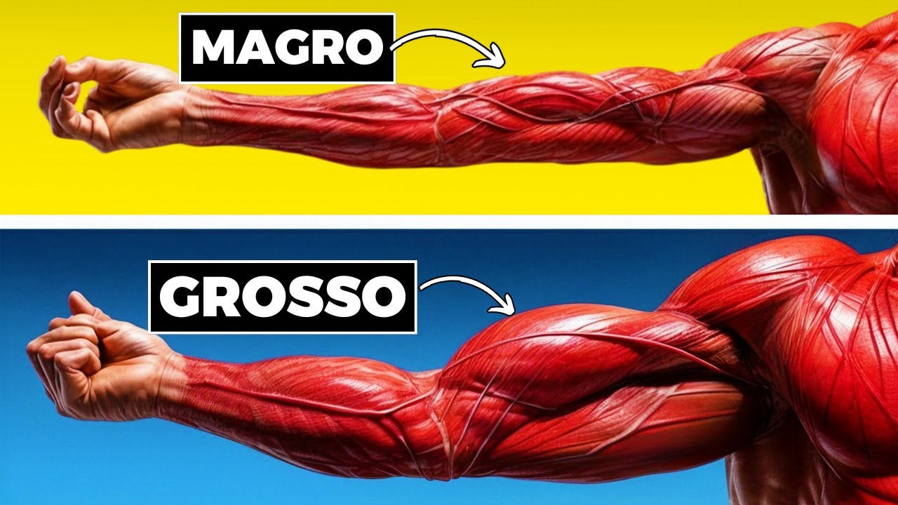 GLI UNICI 3 ESERCIZI PER COSTRUIRE BICIPITI CHE RIEMPIONO LA MAGLIETTA