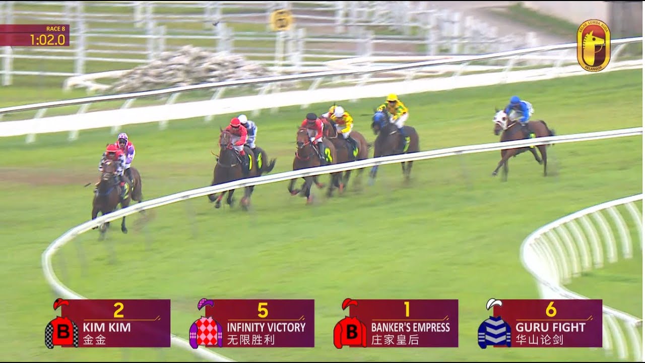 24 JAN 2026 RACE 8