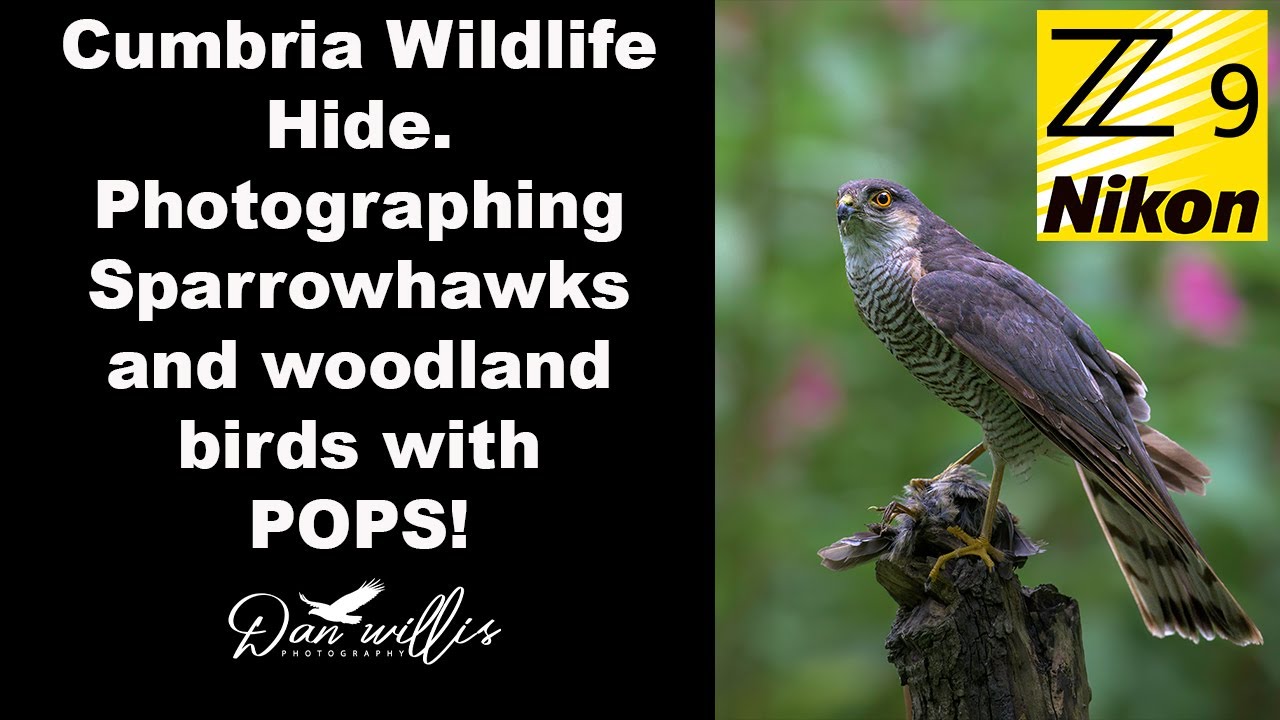 Укрытие с Pops в Камбрии (Cumbria Wildlife Hide with Pops)