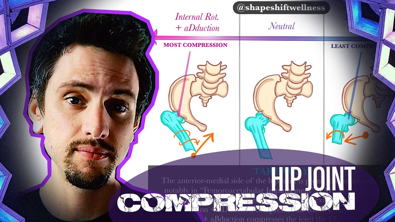 Hip Joint Impingement in Flexion | Yoga Anatomy of Forward Folds