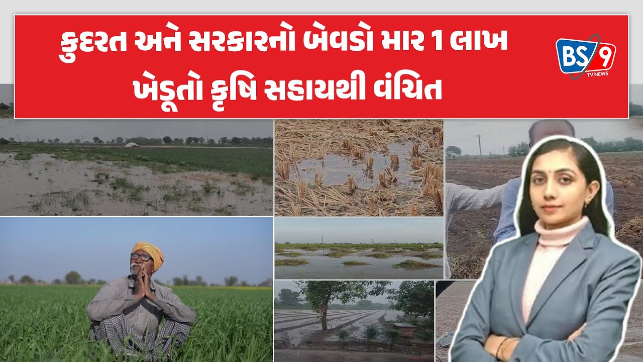 મગફળીના વેચાણ બાદ 35,000 ખેડૂતોના નાણાં પણ અટક્યા | BS9 TV NEWS