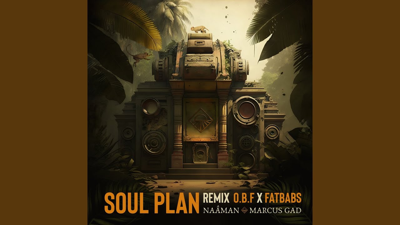 Soul Plan (Remix)