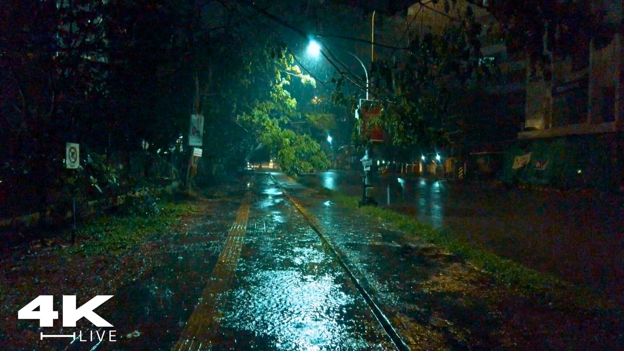 Dark Night Rainstorm Walk  | Rain & Thunder ASMR for Sleep and Focus