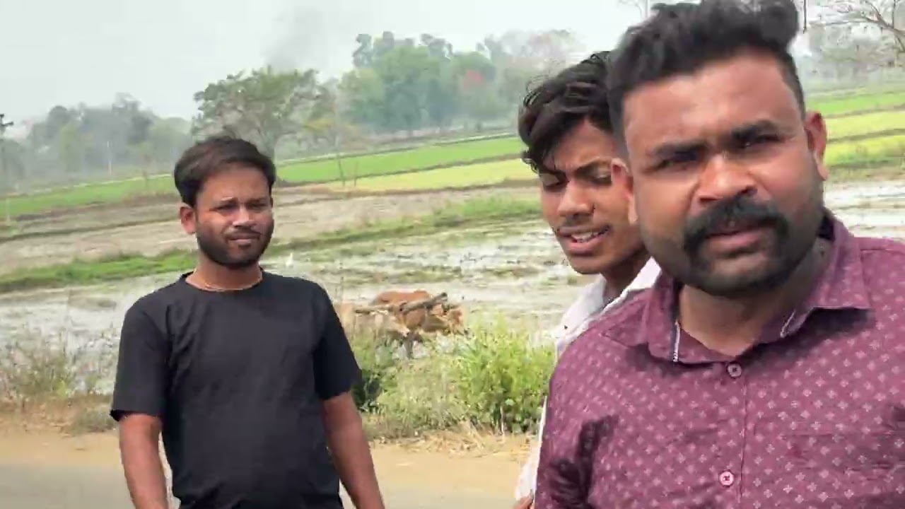 Trakstar 545 47hp tractor ଦଲଦଲି ଜମି ରେ ୬ ଫୂଟ ରୋଟାଭେଟର performance 😮👌🔥୫ଲି/hrs