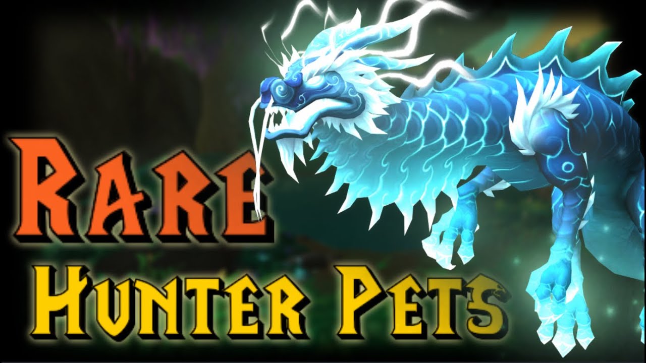 Top 5 RAREST Hunter Pets for TRUE Hunters!