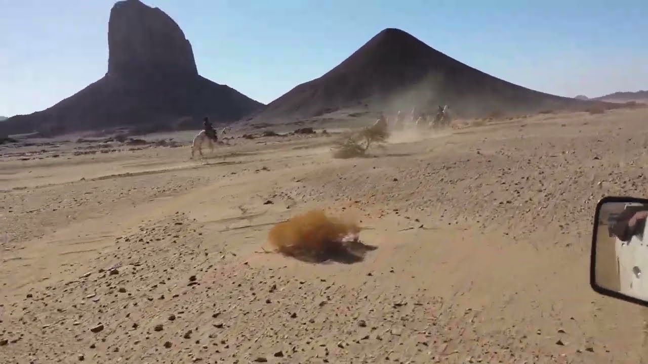 سباق سقا بجبال الأهقار 10كم