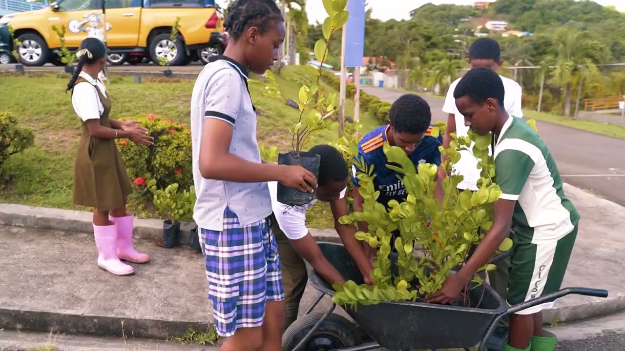 LUCELEC Volunteers Promote Healthy Local Snacks