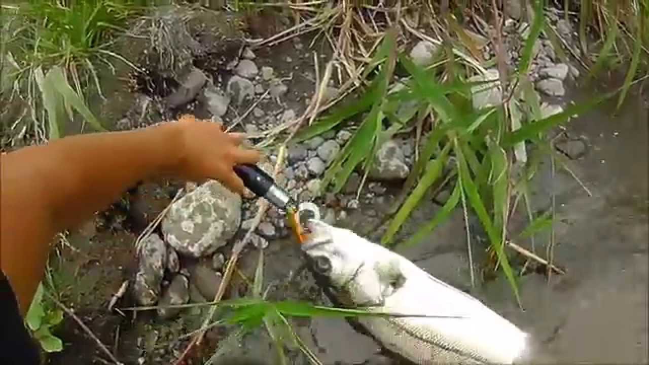 DUO Spearhead Ryuki 80S  for River Seabass