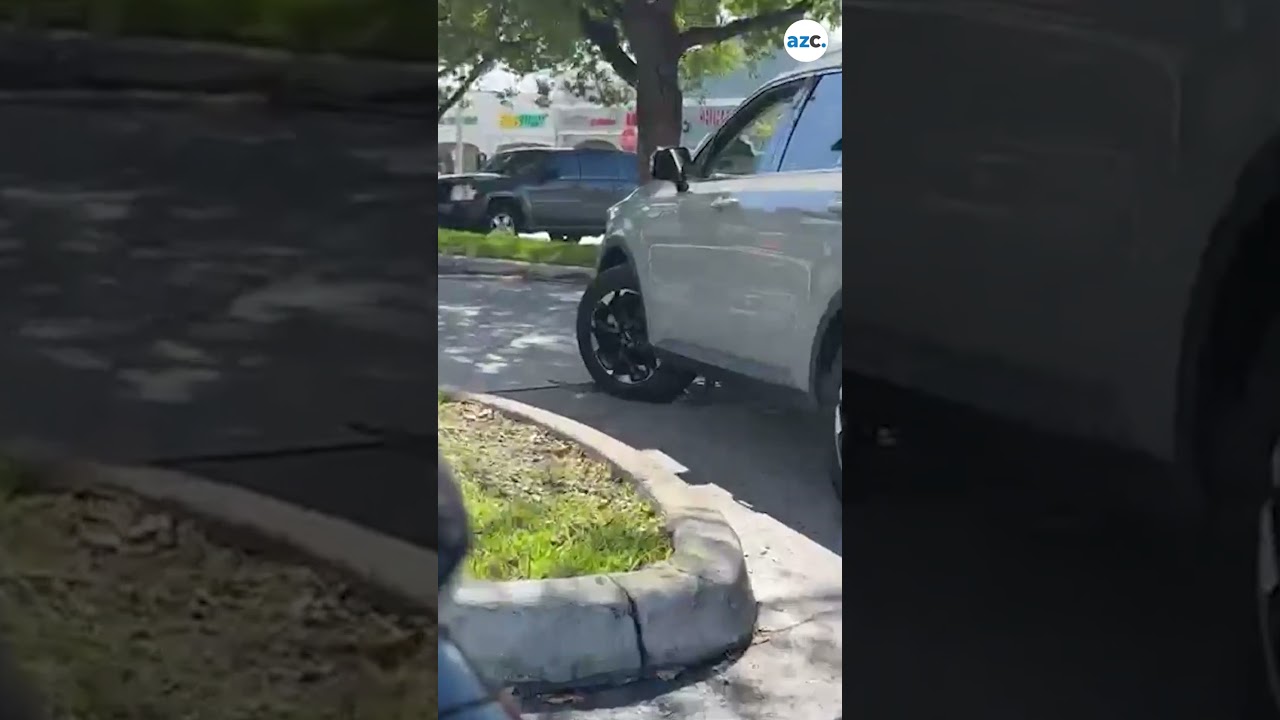 Large snake slithers into car in Florida drive thru line