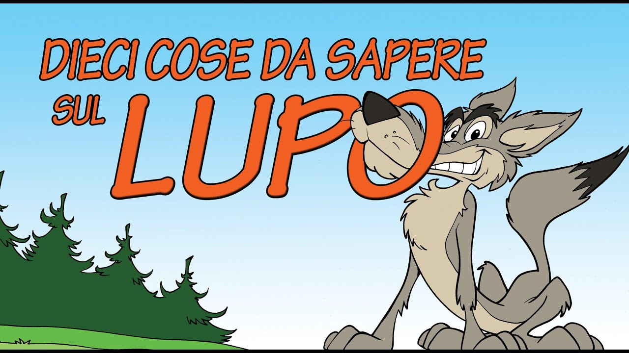 DIECI COSE DA SAPERE SUL LUPO