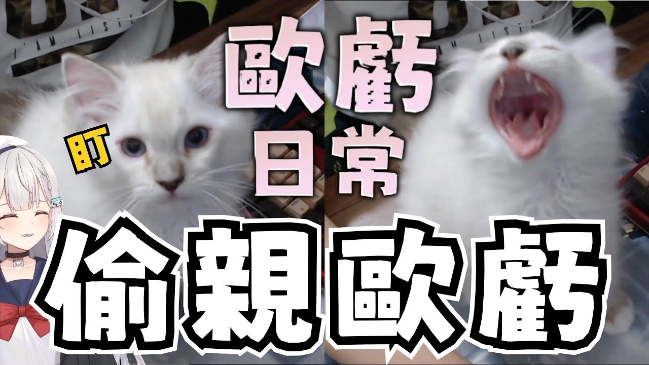 【歐虧精華】歐虧看鏡頭、REN偷親｜歐虧、REN｜歐虧日常 9/3