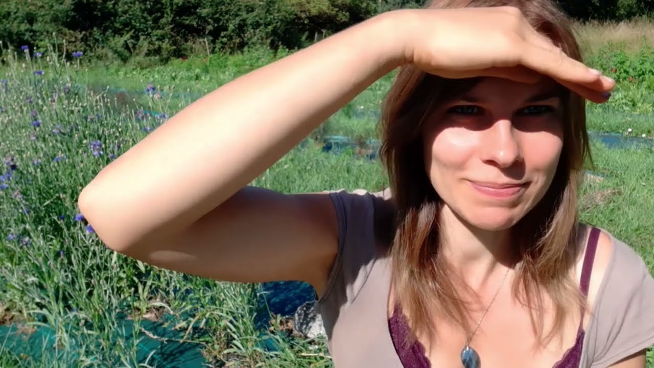 vlog 17 : canicule, doit on tous ombrager nos cultures ?