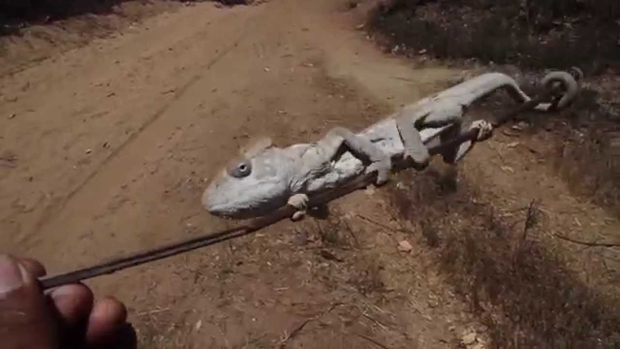 Balade au lac Sacré Mangatsa à Majunga (Madagascar)