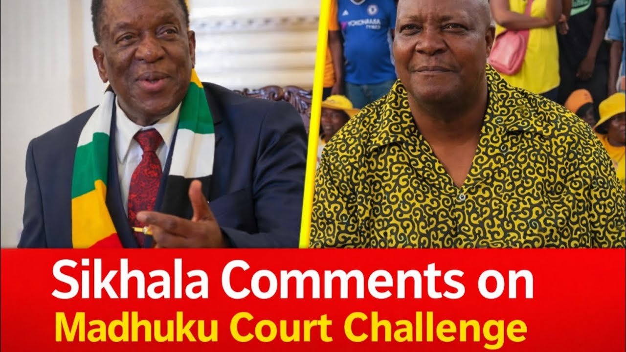 Sikhala Breaks Silence as War Veterans Take ED to Court Over Constitutional Amendments