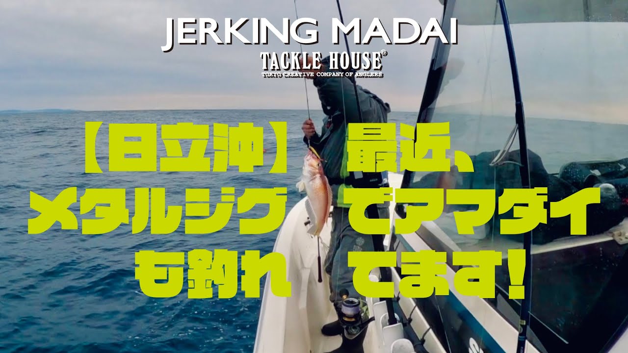 【日立沖】最近、メタルジグでアマダイも釣れてます！