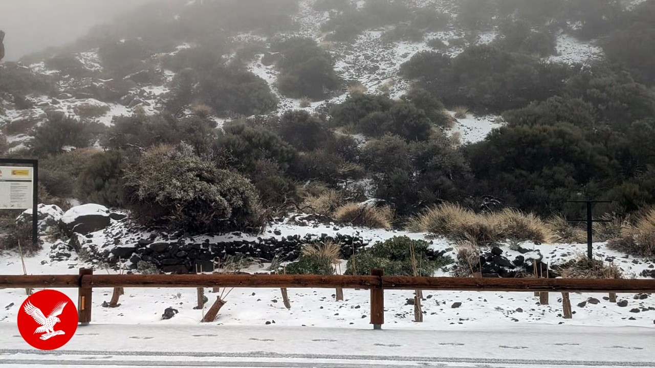 Tenerife blanketed in snow as Storm Therese sparks state of emergency