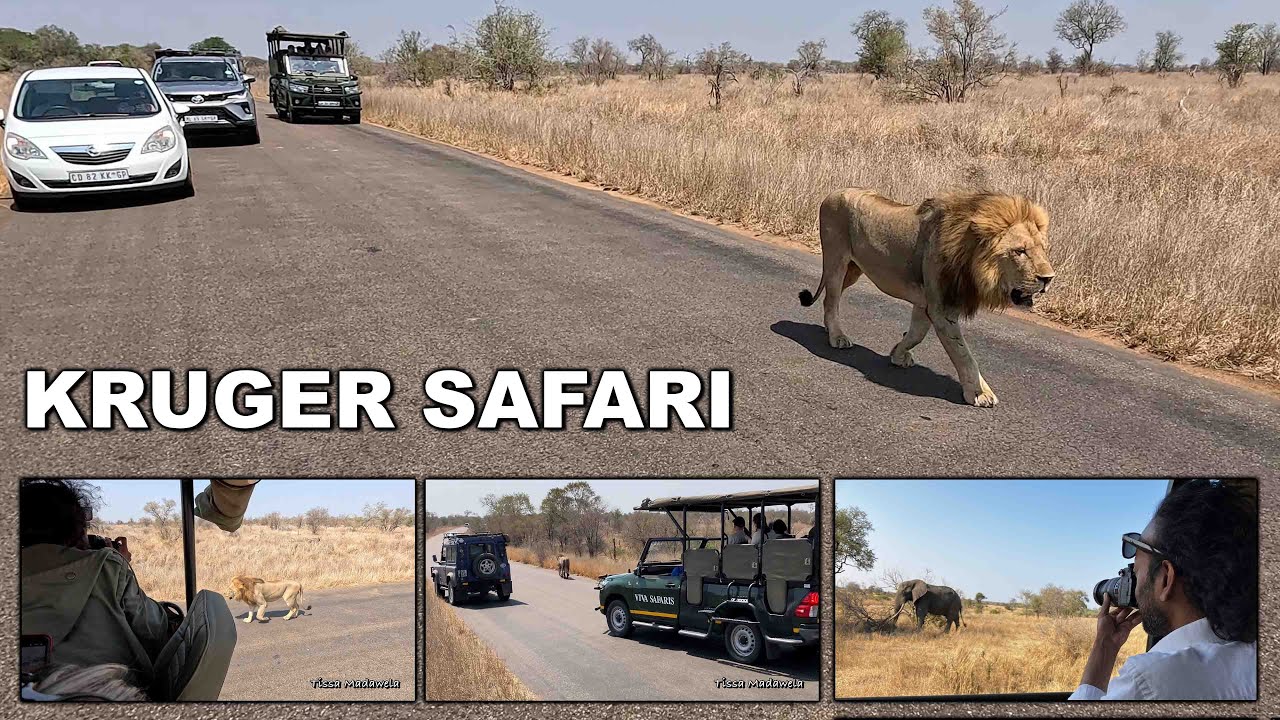 KRUGER  NATIONAL PARK, SOUTH AFRICA 15.9-2025