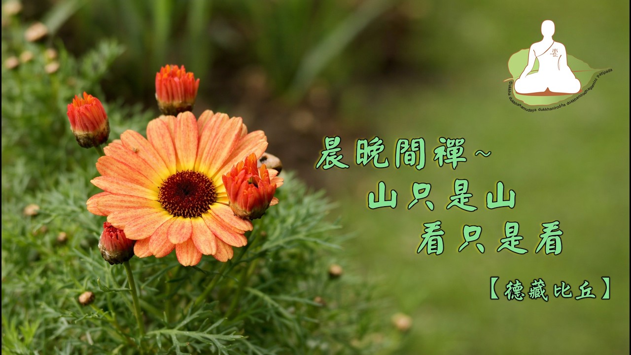 晨間晚禪-山只是山 看只是看[德藏比丘]240526